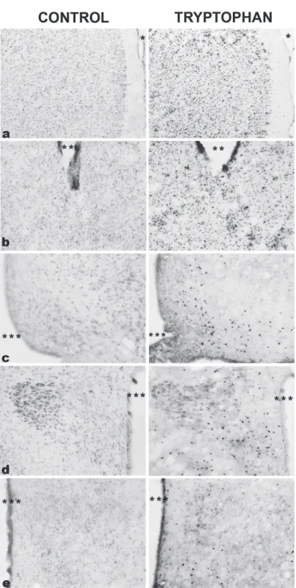 Figure 1 - Photomicrographs of Fos immunoreactive cells (dark spots) in coronal sections through  brain regions with significant increases in Fos immunoreactivity in the animals that received the diet  enriched with tryptophan