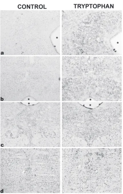 Figure 2 - Photomicrographs of Fos immunoreactive cells (dark spots)  in coronal sections through brain regions with significant increases in Fos  immunoreactivity in the animals that received the diet enriched with tryptophan
