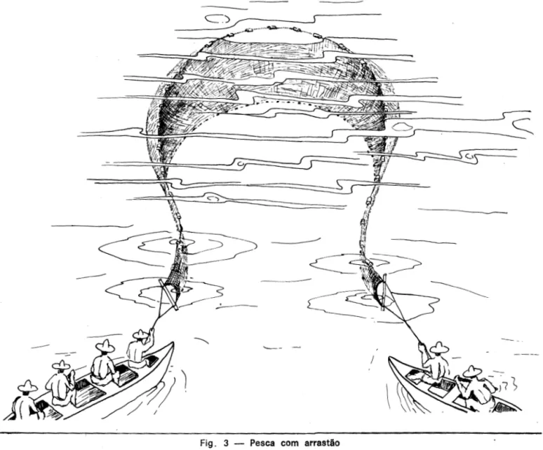 Fig.  3  - Pesca  com  arrastao 