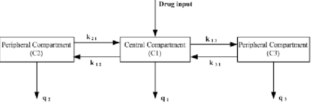 Figure 5: Example of a three-compartment model that describes the behavior of anesthetic drugs