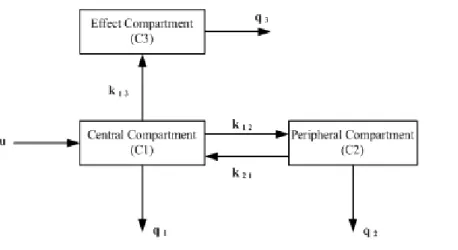 Figure 2.1: Compartmental model for the effect of drug administration.