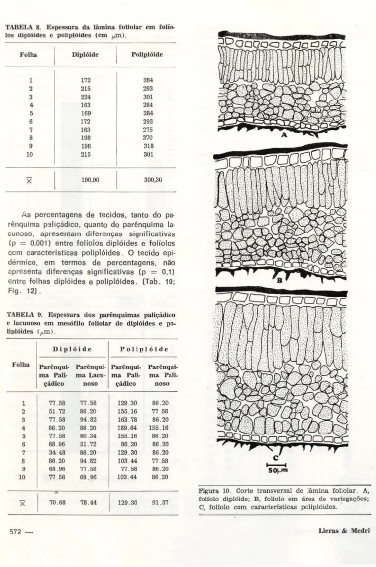 TABELA  8.  Espessur a  da  lâmina  foliolar  em  f  o tio. 