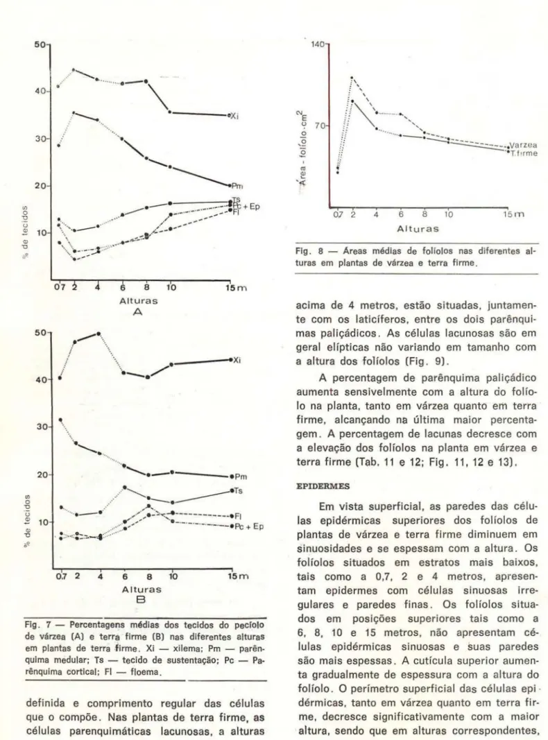 Fig .  7  - Percentagens  médias  dos  tecidos  do  peclolo  de  várzea  (A)  e  terra  firme  (B)  nas  diferentes  alturas  em  plantas  de  terra  f irme