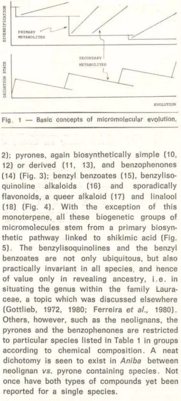 Fig .  1  - Basic  concepts  of  micromolecular  evolution. 