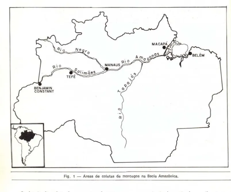 Fig.  1  - Areas  de  coletas  de  morcegos  na  Bacia  Amazônica. 