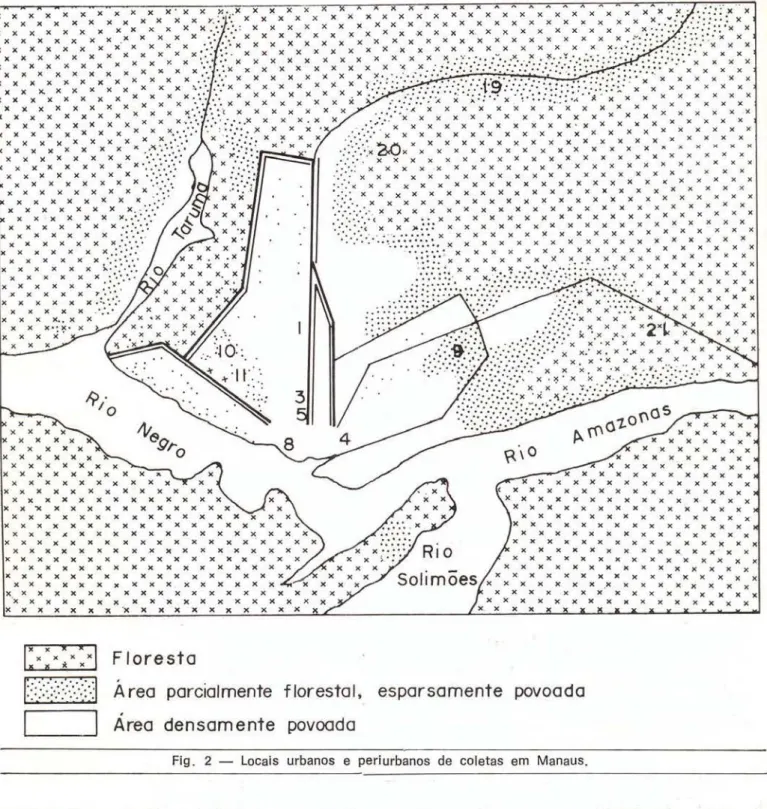 Fig.  2  - Locais  urbanos  e  peri urbanos  de  coletas  em  Manaus. 