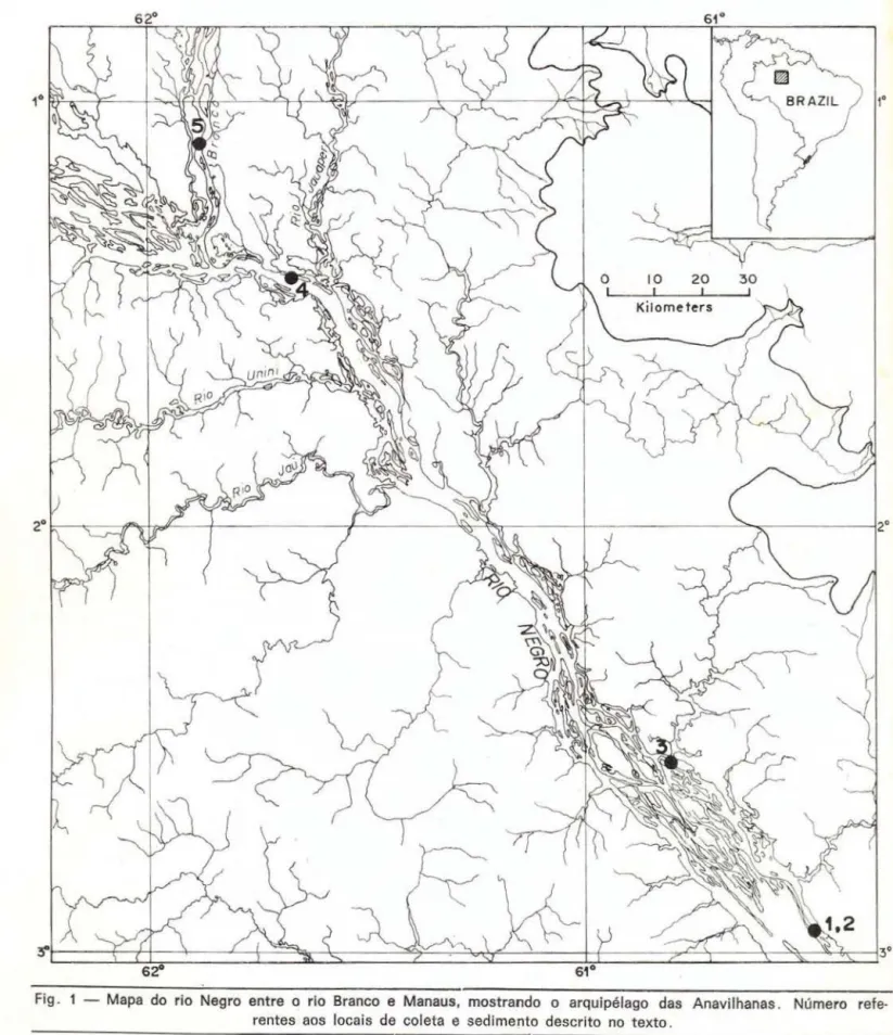 Fig.  1 - Mapa  do  rio  Negro  entre  o  rio  Branco  e  Manaus,  mostrando  o  arquipélago  das  Anavilhanas 