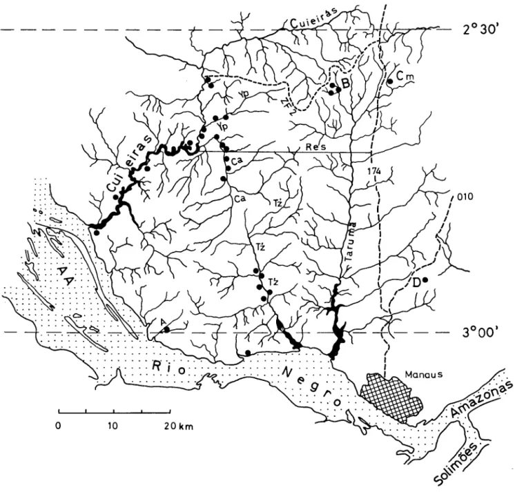 Fig.  1  - Area  drained  by  the  three  river  systems  Taruma,  Tarumazinho  ( =  Taruma-Mirim  =:  little  Taruma)  and  Cuiei- Cuiei-ras