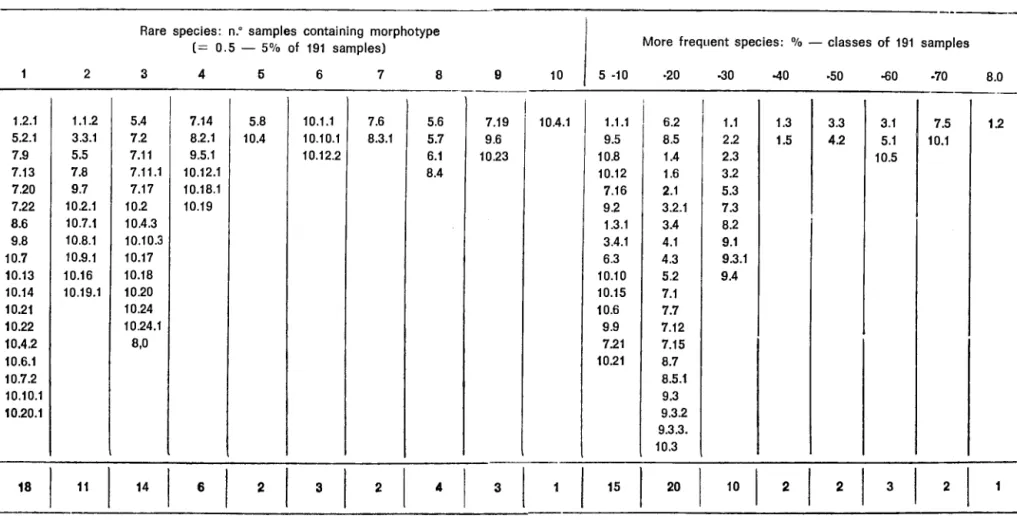 TABLE  1  - Frequency  distribution  of  the  119  morphotypes  recovered  in  a  total  of  191  samples  from  the  5  streams  of  the  Taruma  system