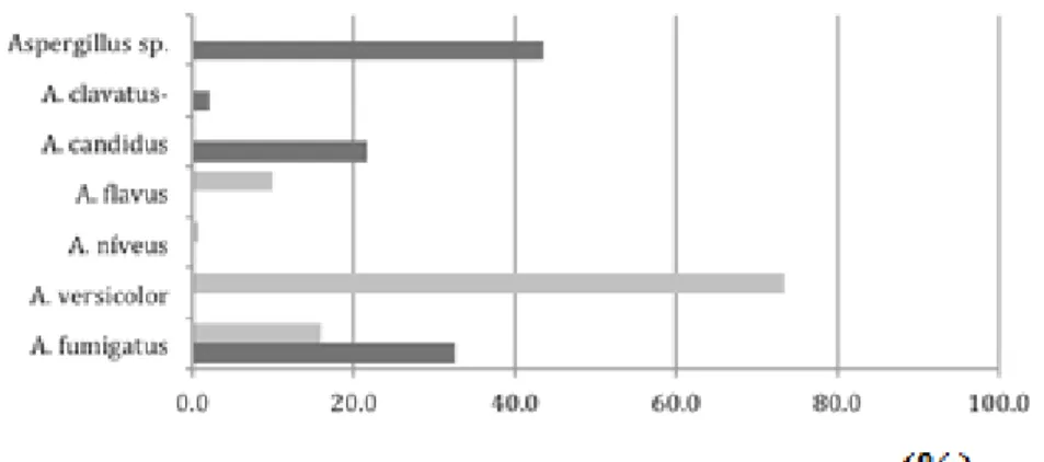 Figura 3.  Incidência do género Aspergillus na cama nova e na cama usada 