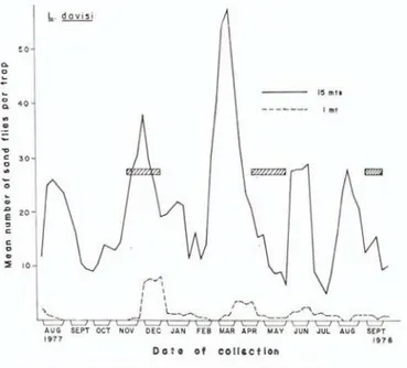 Fig. 6 — Seasonal distribution of P. davisi captured in  light traps over a 62 week period at the Ducke Forest  Reserve, Manaus, Brazil