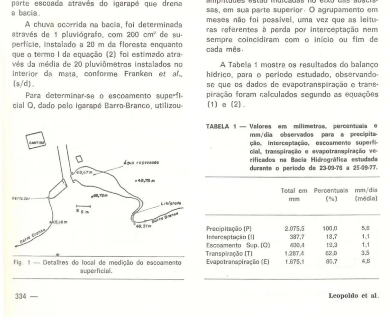 Fig. 1 — Detalhes do local de medição do escoamento  superficial. 