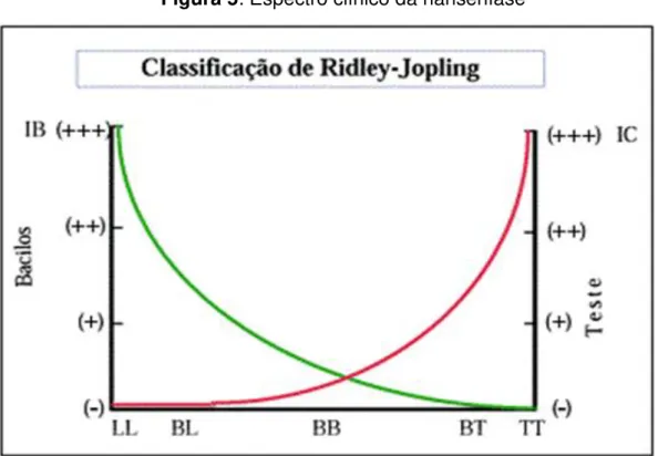 Figura 5: Espectro clínico da hanseníase 