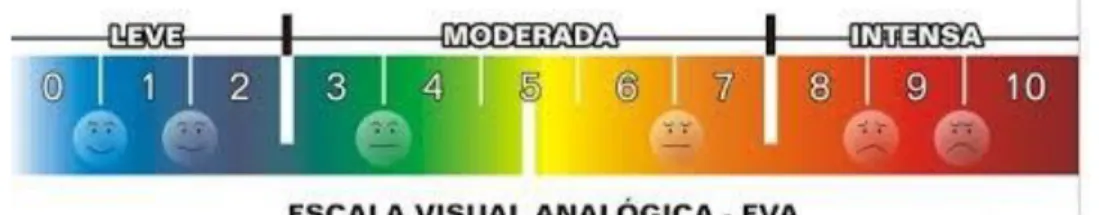 Figura 10: Escala visual analógica de dor 