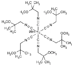 Figura 1.2 - Estrutura química do  99m Tc-Sestamibi (7) 