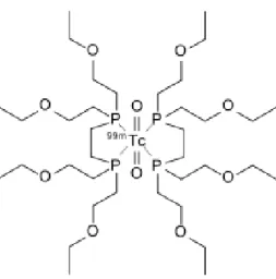 Figura 1.3 - Estrutura química do  99m Tc-Tetrofosmina (7). 