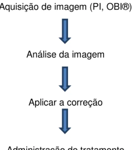 Figura 7.1 – Imagem lateral adquirida com o OBI®