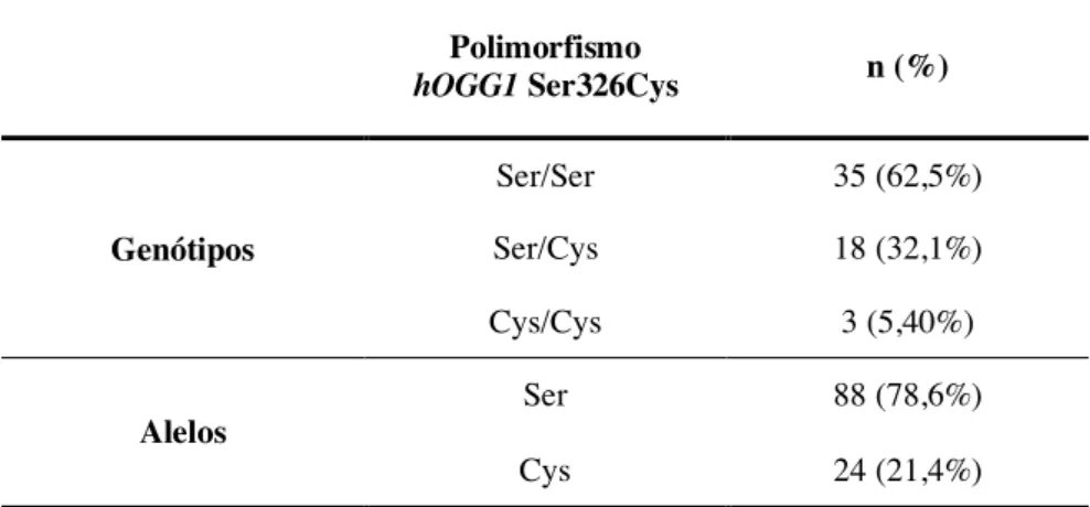 Figura 6 - Resultado representativo da análise por PCR-RFLP do polimorfismo genético  no  gene  hOGG1  (Ser326Cys):  1)  Homozigótico  Ser/Ser;  2)  Heterozigótico  Ser/Cys; 