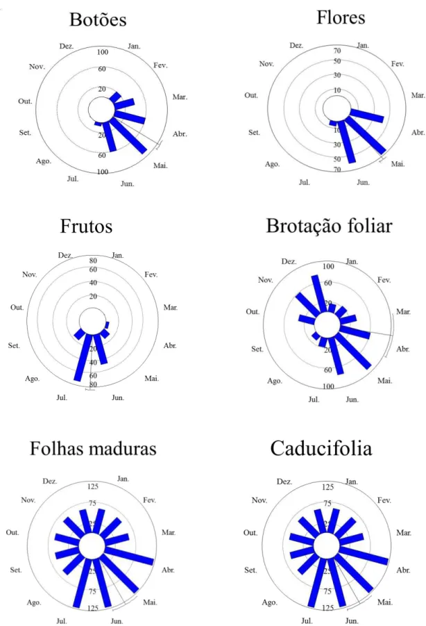 Figura  3.  Fenologia  das  espécies  Banisteriopsis  malifolia  entre  os  meses  de  abril  de  2011e  julho  de  2012  no  cerrado sensu  stricto  da  Área  de  Reserva  Legal  do  Clube  de  Caça  e  Pesca  Itororó de Uberlândia, Minas Gerais