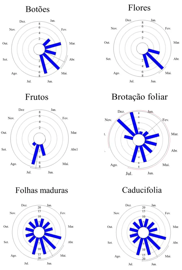 Figura  4.  Fenologia  das  espécies  Banisteriopsis  variabilis  entre  os  meses  de  abril  de  2011e  julho  de  2012  no  cerrado sensu  stricto  da  Área  de  Reserva  Legal  do  Clube  de  Caça  e  Pesca  Itororó de Uberlândia, Minas Gerais