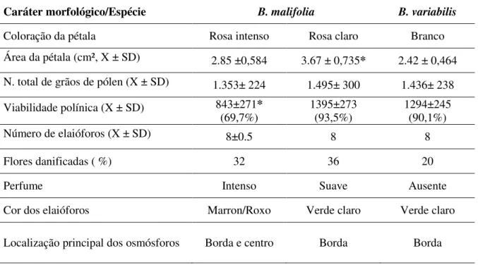 Tabela 1. Características quantitativas e qualitativas de Banisteriopsis malifolia e B
