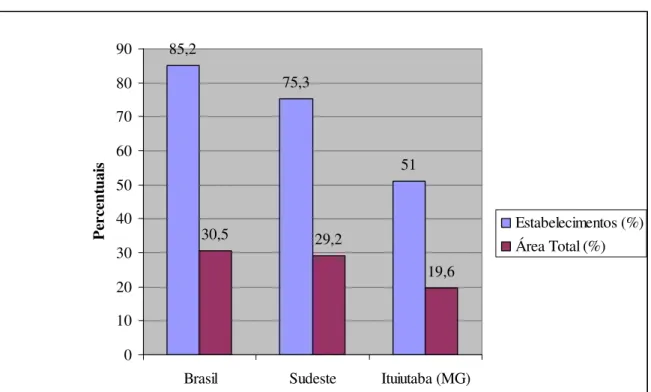 Figura 4 – Brasil/ Sudeste/ Ituiutaba (MG): agricultura familiar - número de  estabelecimentos e área em 1995/96 (%)  85,2 75,3 51 30,5 29,2 19,6 0102030405060708090