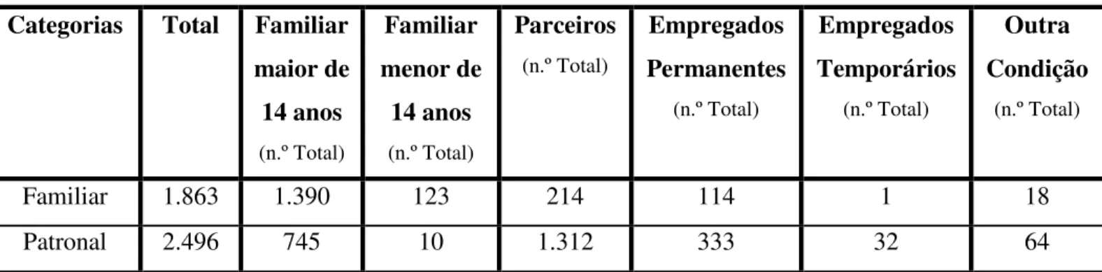 Tabela  8  –  Ituiutaba  (MG):  estabelecimentos  e  área  segundo  a  condição  do  produtor  por  categoria familiar e patronal (n.º total) - 1995/96 