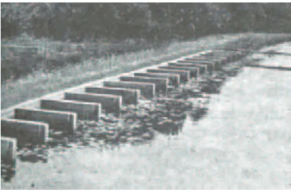 Fig.  1  -  Tanque  de  reprodução  com  caixas  de  desova  para  achigãs  (Huet, 1983).