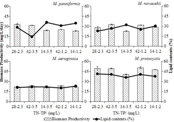 Figure 5 - Effect of the nitrogen and phosphorous concentrations on the average biomass productivity and  lipid content (%) of cyanobacteria for 13 days; standard deviations are also shown