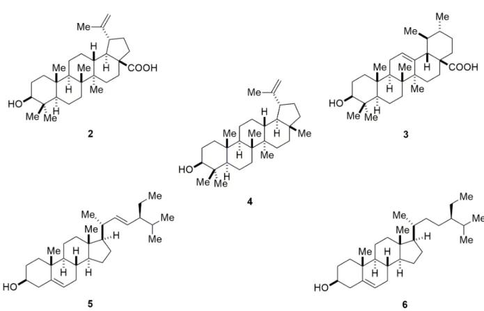 Figure 2 - Structures of betulinic and ursolic acids (2 and 3, respectively), lupeol (4), stigmasterol (5) and β-sitosterol (6).