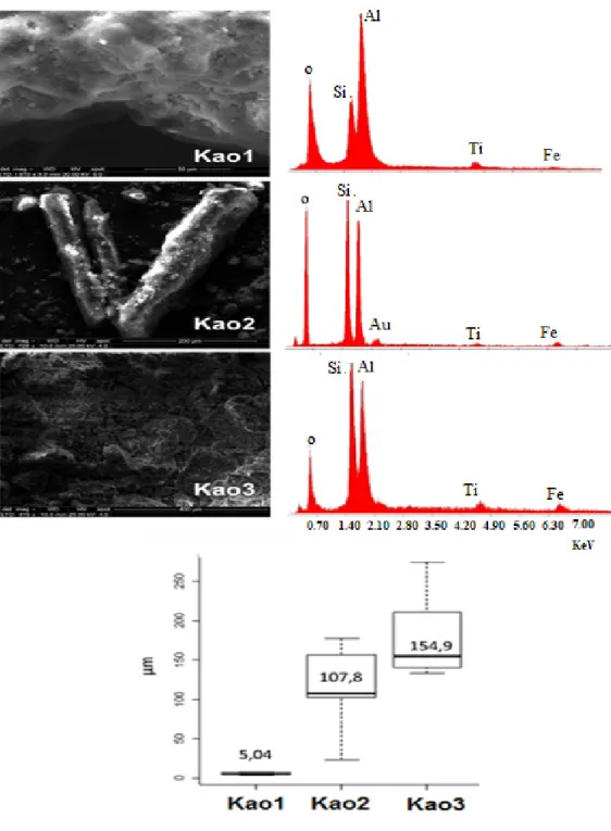 Figure 3 - Secondary electron images of scanning electron microscopy and EDS spectrum of the Kao1  and Kao2 Kao3 samples.