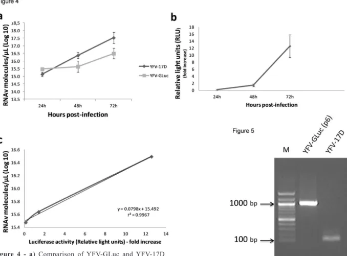 Figure 4 - a) Comparison of YFV-GLuc and YFV-17D  replication kinetics. BHK-21 cells were inoculated with  either virus at MOI of 0.1