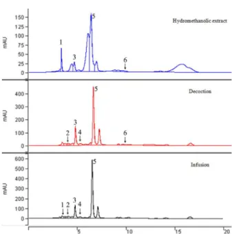 Figure 1 - Chromatogram obtained by RP-HPLC (330 nm)  of phenolic compounds of hydromethanolic, decoction and  infusion extracts from amoreira-preta leaves (Morus nigra L.)