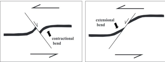 Figure 1 - Sketches of two different types of flanking folds in a shear zone (modified from Grasemann et al