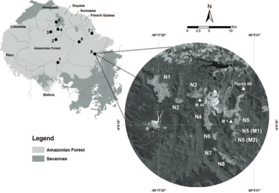 Figure 1 -  Study sites at Carajás National Forest and the locations of bird inventories in open vegetation  throughout Brazilian Amazon: 1) Manicoré savanna, 2) Jaú National Park white sand campina, 3) Aracá  river white sand campina, 4) Viruá National Pa