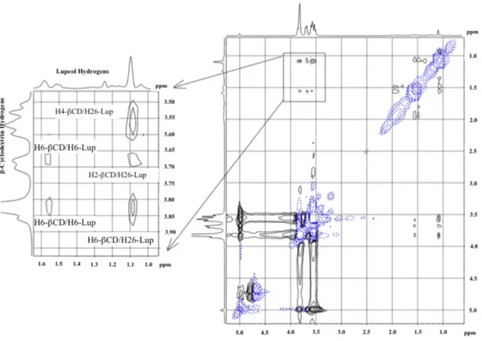 Figure 2 - ROESY contour map of lupeol/βCDcomplex (400 MHz, EtOH-d 6 /D 2 O (2:1)). For clarity, intermolecular NOE  correlations are indicated.