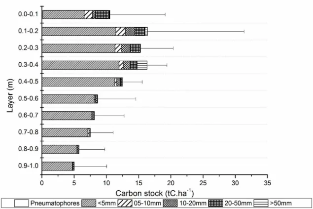 Figure 3 - Average carbon stock in root biomass by diameter classes in each deep. 