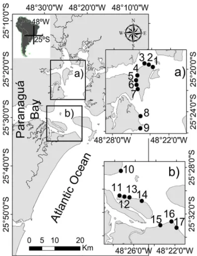 Figure 1 - Sampling area and sampling sites (black dots). Estuarine Complex  of Paranaguá, Brazil.