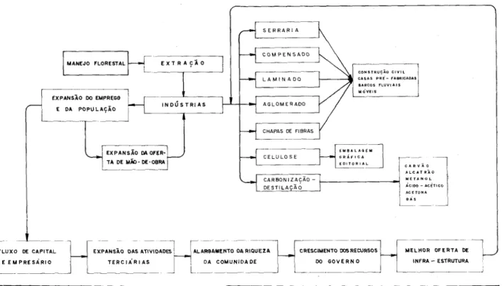 Fig. 1 — Síntese diagramático do processo de causação cumulativa de um complexo técnico madeireira