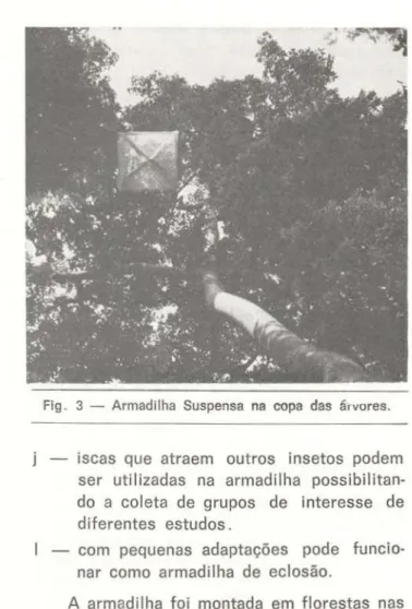 TABELA 1 — Tabanídeos capturados em copa de ár- ár-vores, entre 15 e 25 m de altura, nos  me-ses de agosto a dezembro de 1981, nos  arredores de Belém e Manaus 