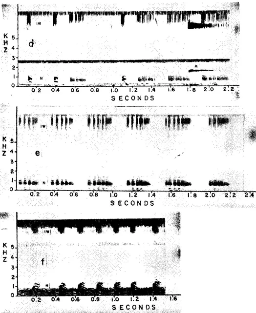 FIG. zyxwvutsrqponmlkjihgfedcbaZYXWVUTSRQPONMLKJIHGFEDCBA   6 . zyxwvutsrqponmlkjihgfedcbaZYXWVUTSRQPONMLKJIHGFEDCBA   Vo c a l i z a t i o n s   o f  Hyla geographica.  Ty p e   A  ( a )   a n d  Ty p e Β  ( b , c )   v o c a l i z a t i o n s   we r e   