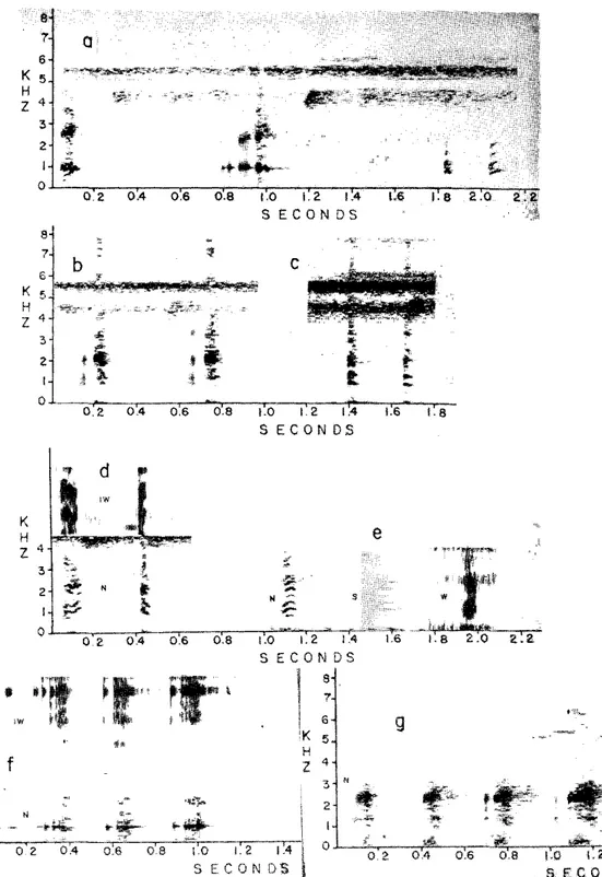 FIG. 10.  Vo c a l i z a t i o n s   ( a   t o  e ,   a n d  f )   ma d e   b y  a n  I NP A­ WWF Osteocephalus sp.,   a n d  a   T a ­ p a j ó s   Na t i o n a l   P a r k Osteocephalus sp