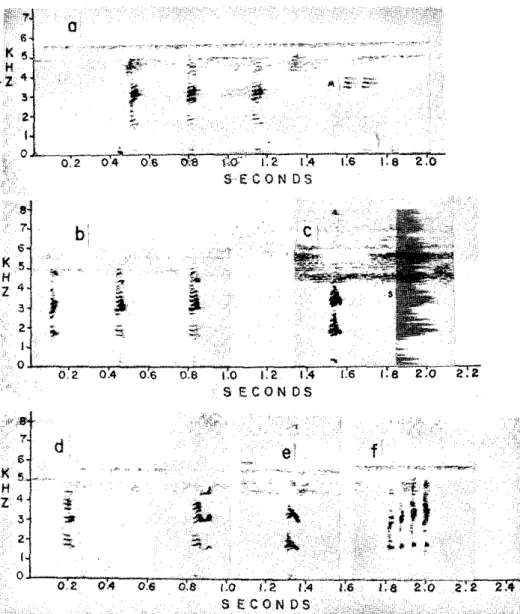 FIG. 18.  Vo c a l i z a t i o n s   ma d e   b y  t wo Eleutherodactylus fenestratus  i n d i v i d u a l s   e mi t t e d  wh i l e   f i g h t i n g  i n  t h e   Ta p a j ó s   Na t i o n a l   P a r k 