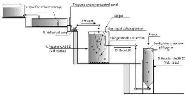 FIGURE 1.  Scheme representing anaerobic treatment system in two stages with UASB reactors in  pilot scale testing: (1)  container to preparation and dilution of swine  wastewater