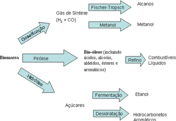 Figura 2.2 - Estratégia atual para a produção de combustíveis e insumos químicos  utilizando a biomassa (adaptado de HUBER e DUMESIC, 2006) 