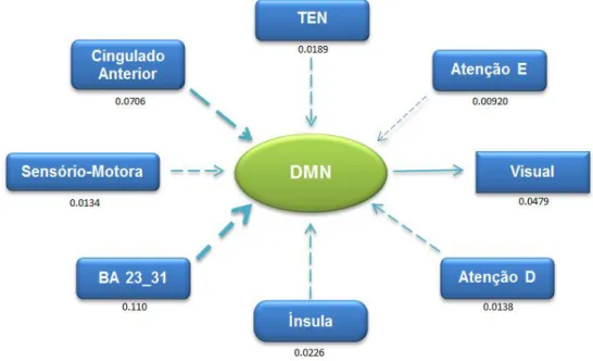 Fig. 23 - Representação Esquemática da Conectividade Efectiva da DMN 