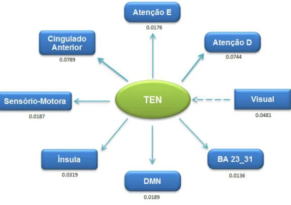 Fig. 26 - Representação Esquemática da Conectividade Efectiva da TEN 