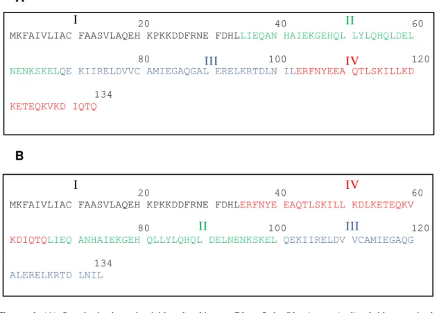 Figura  4.  (A)  Sequência  de  aminoácidos  do  alérgeno  Blo  t  5  de  Blomia  tropicalis  obtida  através  do  Genbank, com número de acesso AAD10850