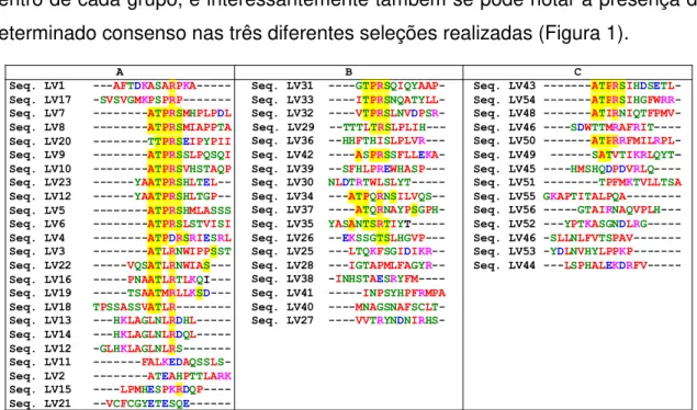 Figura 1: Alinhamento das sequências dos peptídeos recombinantes relacionados à Leishmaniose  Visceral nas diferentes seleções: A: Eluição Ácida, B: Eluição específica com o antígeno rK39 e C: 