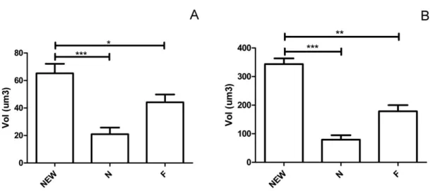 Figura  8: Representação (média e desvio padrão) do volume da heterocromatina (A) e  volume total de núcleo (B)  em operária recém emergida (NEW) nutridora (N) e forrageira  (F)  de  Melipona  scutellaris